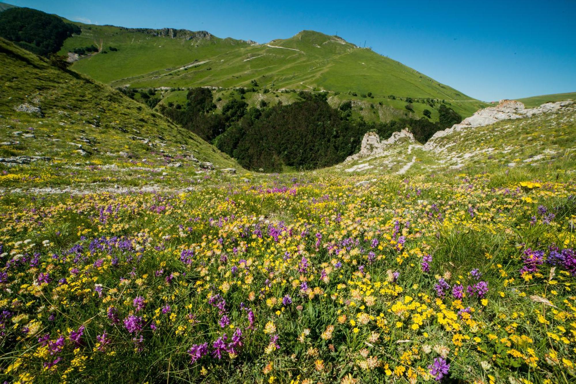 Locanda Della Rocca Sarnano Eksteriør bilde